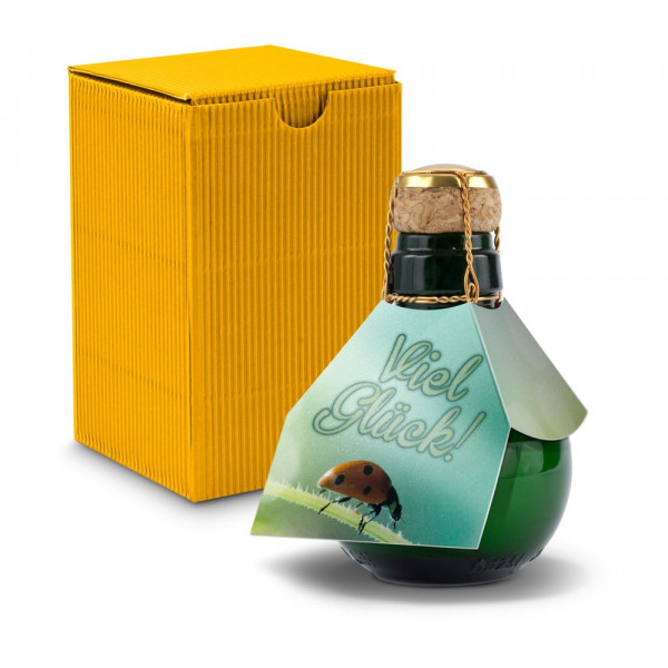 Kleinste Sektflasche der Welt! Viel Glück — Inklusive Geschenkkarton, 125 ml